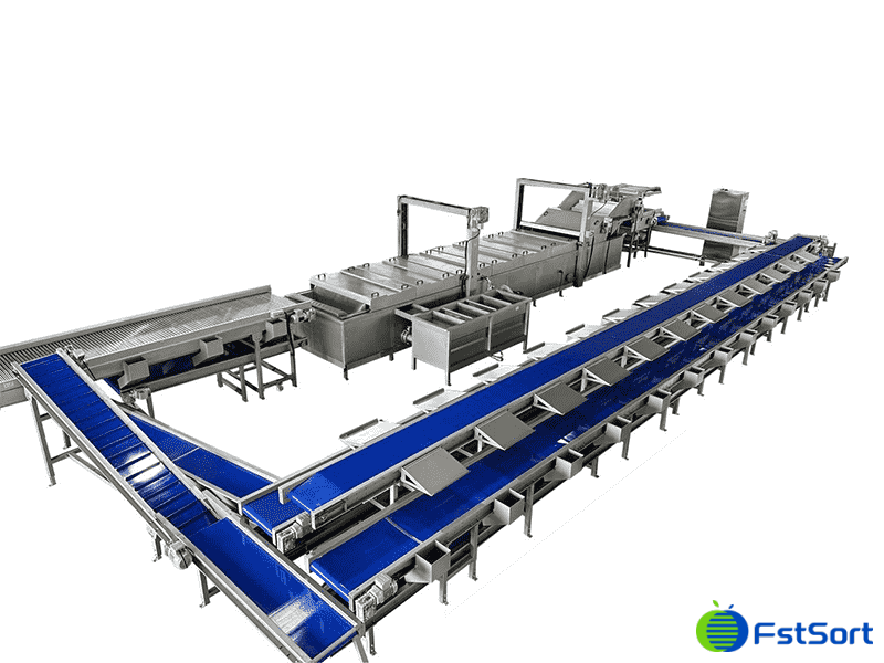images/1744875187185lychee grading equipment.png